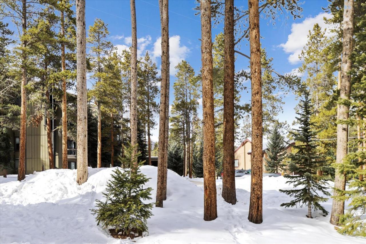Park Forest Estates Breckenridge Exterior foto